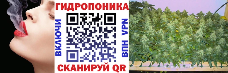 Магазины продажи наркотиков Ростов-на-Дону Псилоцибиновые грибы Cocaine МЕФ ГАШ