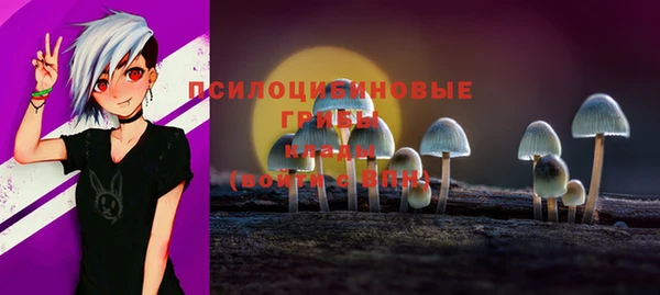 ПСИЛОЦИБИНОВЫЕ ГРИБЫ Алексеевка