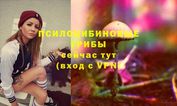 ПСИЛОЦИБИНОВЫЕ ГРИБЫ Алексеевка