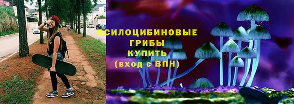 Альфа ПВП Алзамай