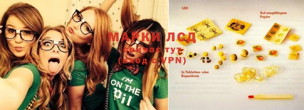 ПСИЛОЦИБИНОВЫЕ ГРИБЫ Алексеевка